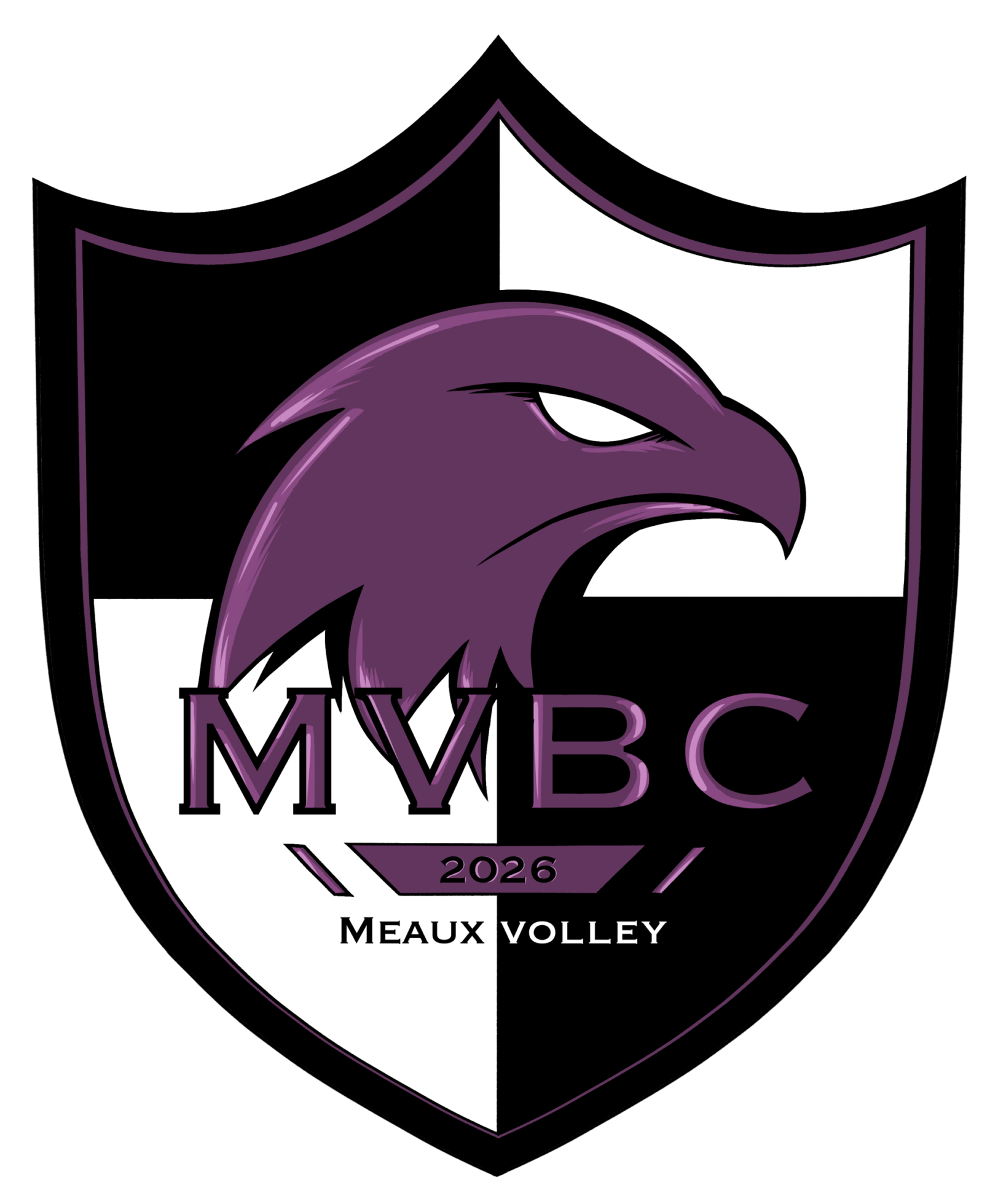 meauxvolleyball.fr